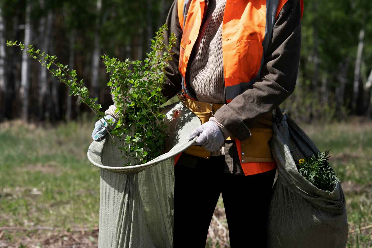 Best Emergency Tree Service  in Maggie Valley, NC